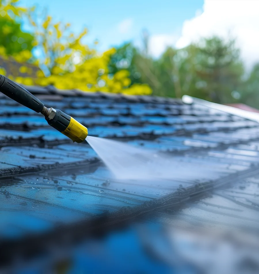 Roof Cleaning